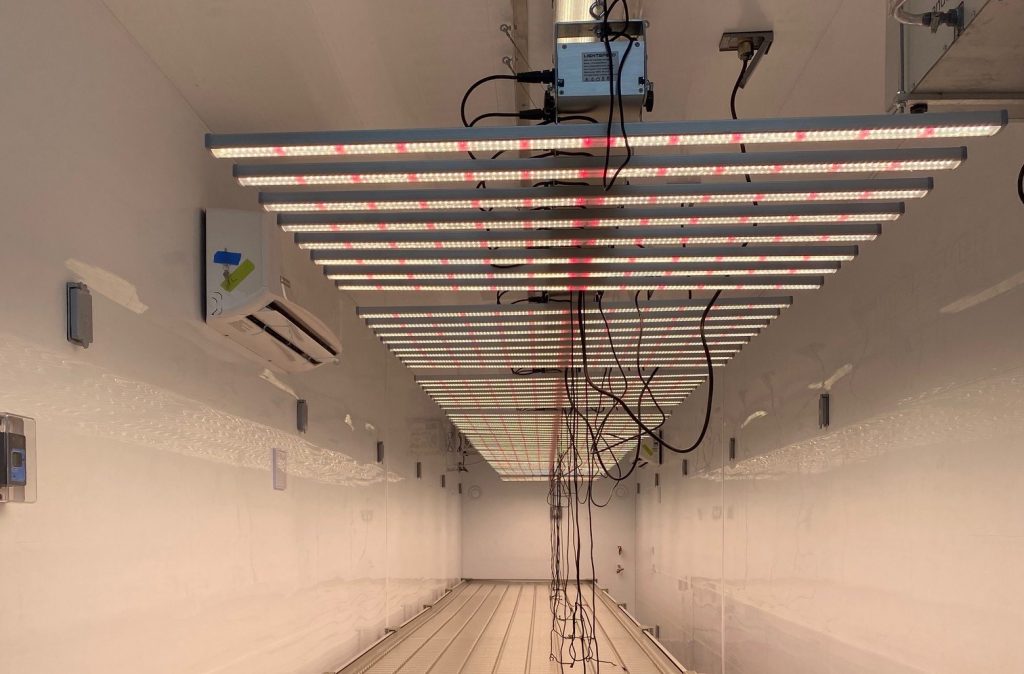 Growing Boxes On Module Rack Home - Container Grow Box